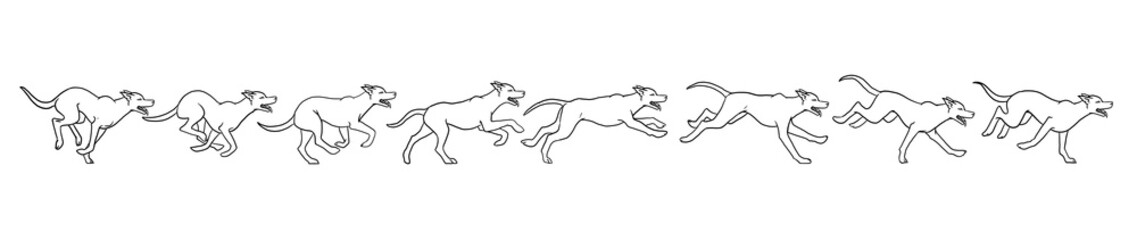 schema della corsa del cane