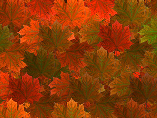 Autumn pattern with colorful leaves. 