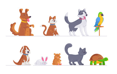 A set of different animals. Vector illustration of cats, dogs, hamster, parrot, turtle and other pets isolated on white background. Zoo. 