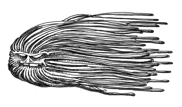 hand drawn sketch of a monster