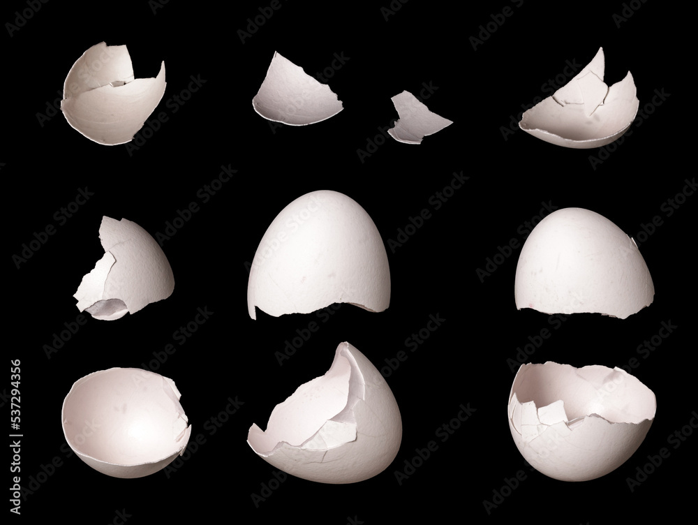 Poster set of eggshell isolated on black background