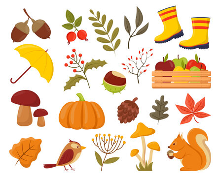 Autumn animals and plants vector illustrations set. Collection of cartoon drawings of tree leaves, harvest, squirrel, mushrooms isolated on white background. Nature, seasons, autumn or fall concept