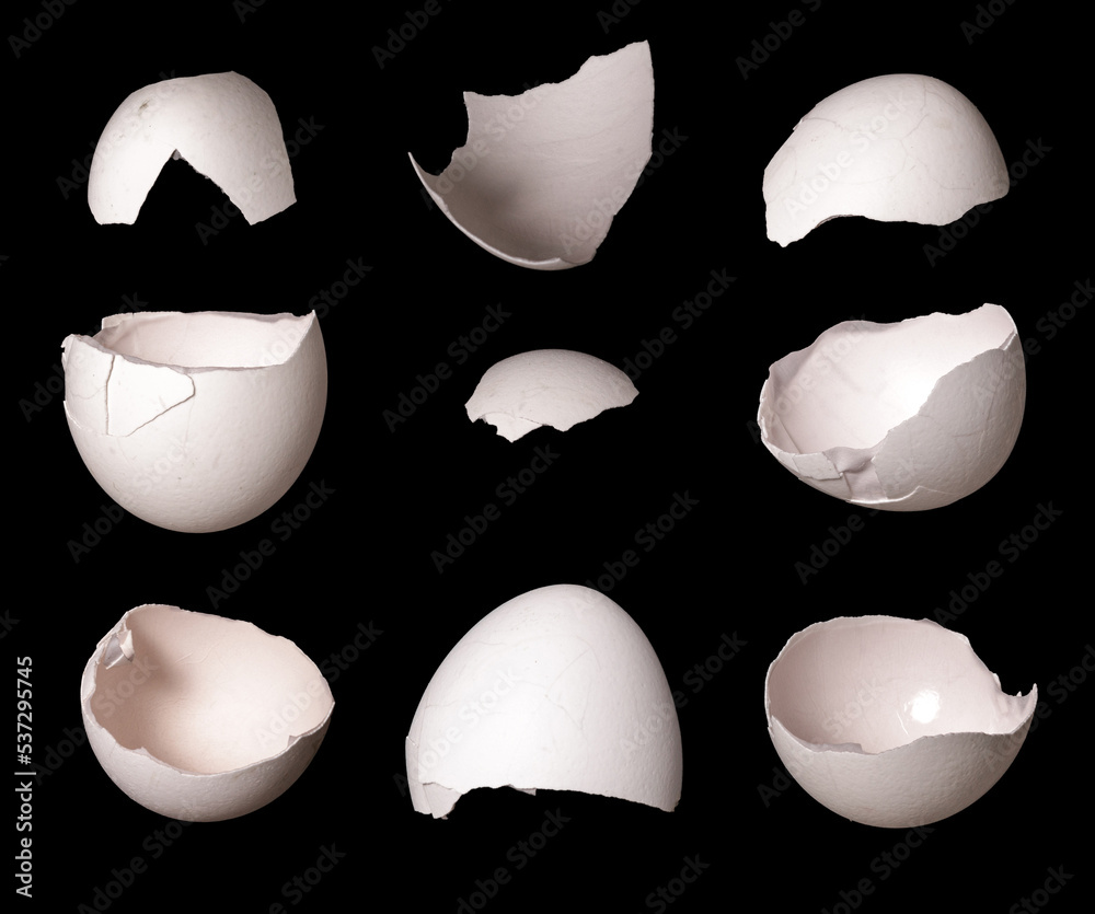 Poster set of shell fragments with cracks isolated on black background