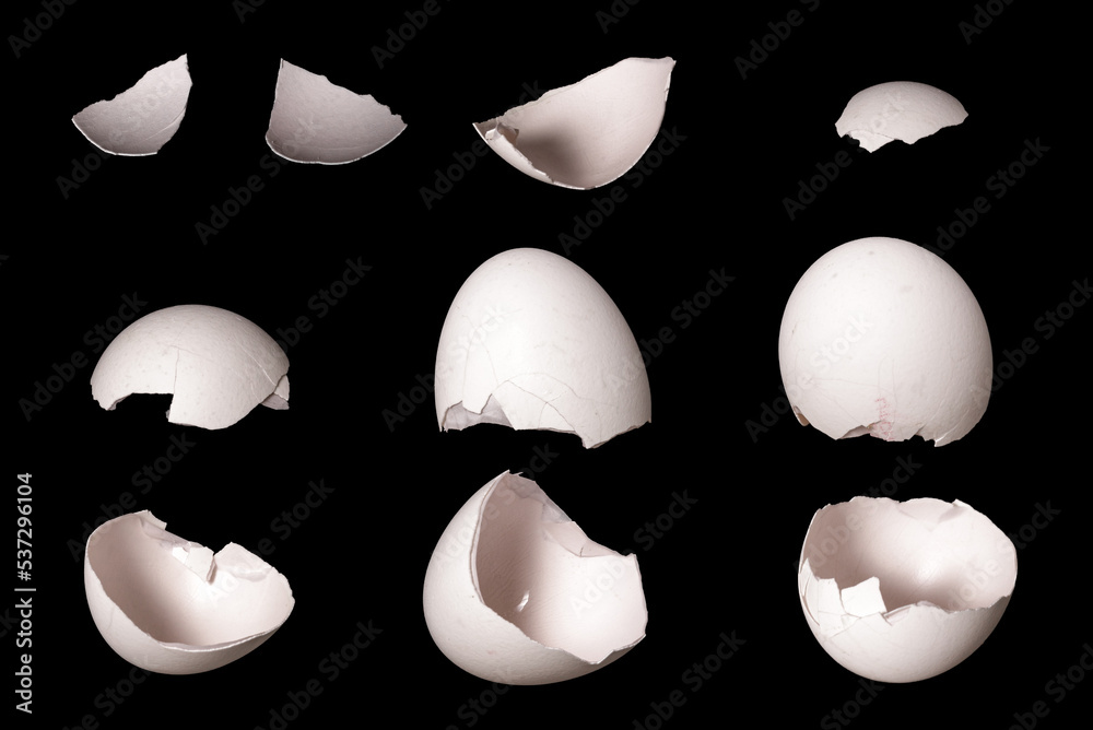 Poster set of white eggshell isolated on black background
