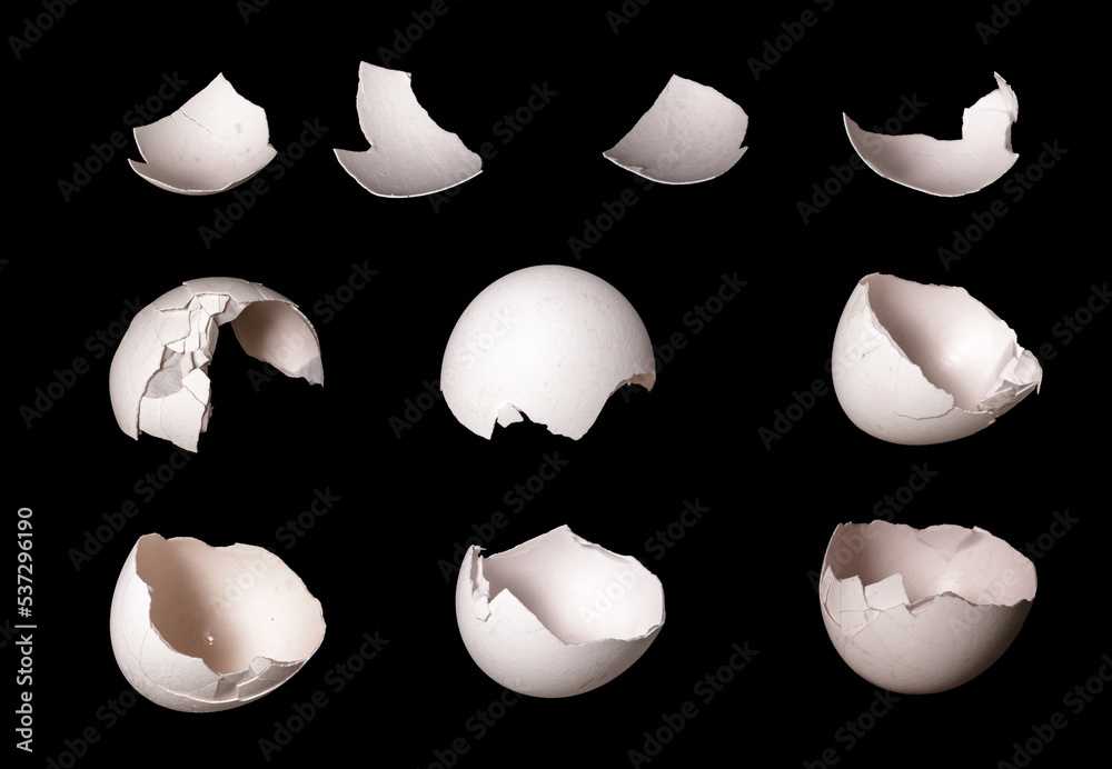 Poster white broken egg. shell isolated on black background