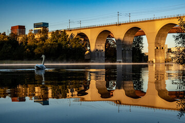 Stockholm, Sweden The Arsta railway bridge on a foggy morning with a swan.