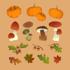 Vector set of autumn leaves, pumpkins and mushrooms