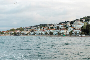 Fototapeta premium wild seagull flying over modern turkish houses and seashore on princess islands.