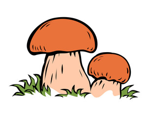 Porcini sketch. Edible forest mushroom. Brown mushroom cap. Delicious nutritious natural food. Healthy ingredient for cooking. Cartoon isolated art illustration. Hand drawn black line sketch