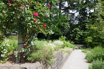 Botanischer Garten Wuppertal 