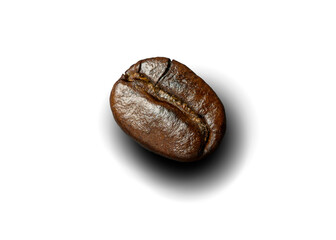 Coffee bean roasted isolated on transparent background.