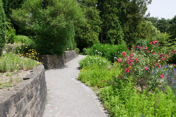 Weg im Botanischen Garten in Wuppertal