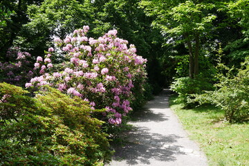 Botanischer Garten Hardtanlage Wuppertal