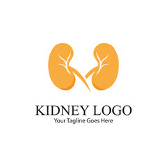 kidney vector illusrtation