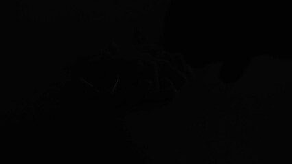 Close up footage with red and blue police lights of male hand putting illegal pills on table. - Powered by Adobe