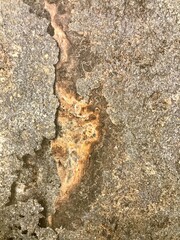 concreto neutro