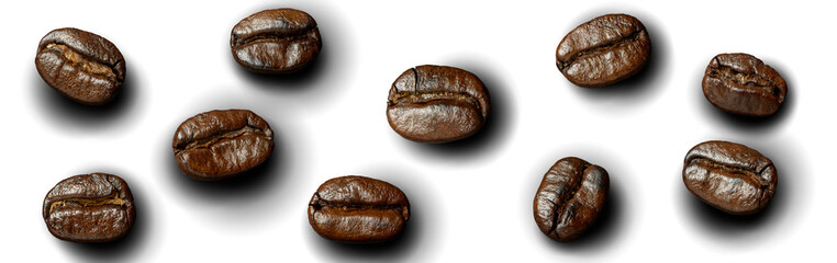 Coffee bean roasted isolated on transparent background.