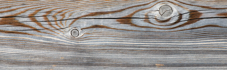 texture of gray wood plank . background of wooden surface