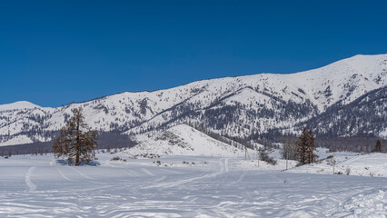Fototapeta na wymiar Snow-covered wooded mountain range against the blue sky. The road, trodden in snowdrifts, goes into the valley. Picturesque bare trees in the winter expanses. Altai