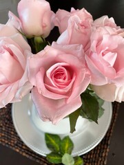 pink roses in a vase