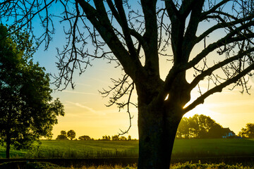Fields and trees in a green hilly grassy landscape under a blue sky at sunrise in autumn, Voeren, Limburg, Belgium, October, 2022