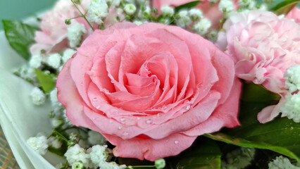 Beautiful Noblesse roses in a bouquet. Selective focus.