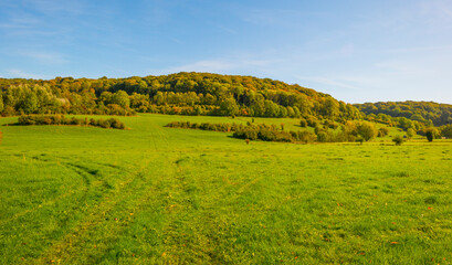 Fields and trees in a green hilly grassy landscape under a blue sky in sunlight in autumn, Voeren, Limburg, Belgium, October, 2022