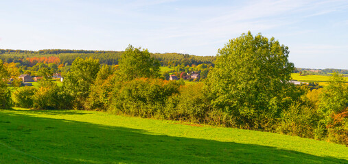 Fototapeta premium Fields and trees in a green hilly grassy landscape under a blue sky in sunlight in autumn, Voeren, Limburg, Belgium, October, 2022