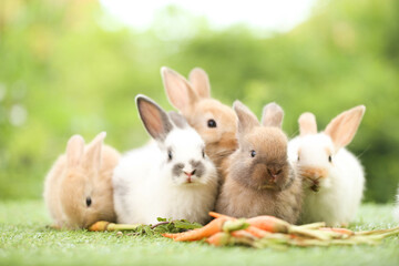 Fototapeta premium Cute little rabbit on green grass with natural bokeh as background during spring. Young adorable bunny playing in garden. Lovely pet at park in spring.