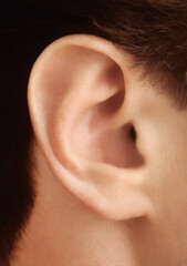 menschliches Ohr