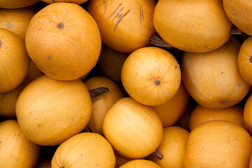 Textures of many decorative mini pumpkins. Top view, flat lay
