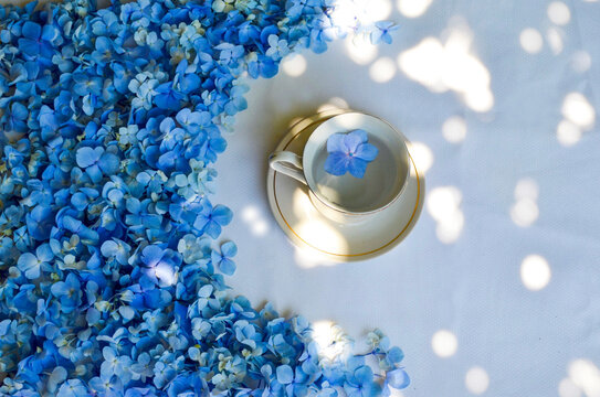 Blue Flowers On The White Desktop For Beatiuful Flatlay Backdrop 
