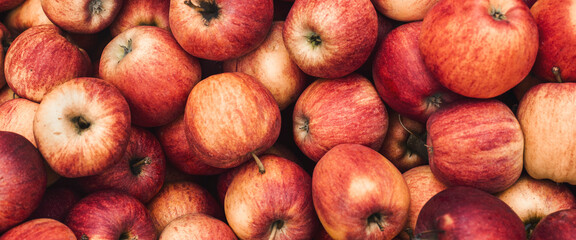 Background with fresh red apples. Top view, flat lay. Banner