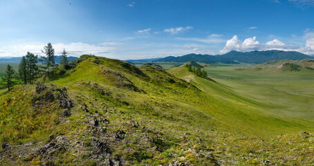 Naklejka premium Russia. South of Western Siberia, Mountain Altai. Picturesque hilly mountains covered with a solid green carpet with many alpine flowers near the village of Ust-Kan.