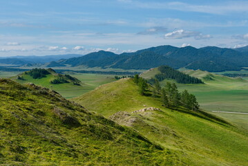 Naklejka premium Russia. South of Western Siberia, Mountain Altai. Picturesque hilly mountains covered with a solid green carpet with many alpine flowers near the village of Ust-Kan.