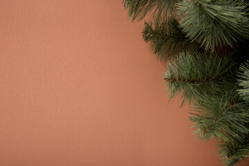 Fir branches on a brown background. Concept for New Years and Christmas Eve. Banner