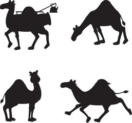 Egyptian camel isolated vector Silhouettes