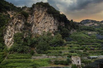 View of the ancient lemon groves in Atrani, Italy
