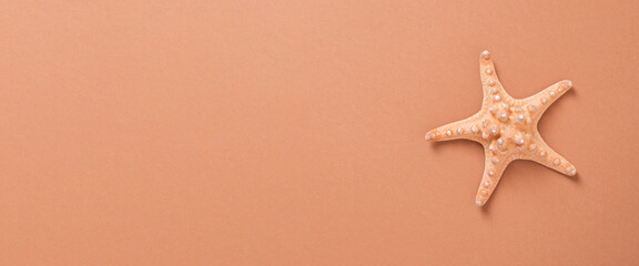Starfish on a brown background. Beach and vacation concept. Banner. Flat lay, top view