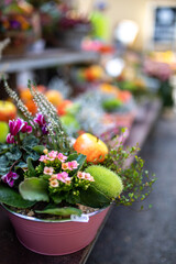 Blumengesteck mit Kürbis schön dekoriert 