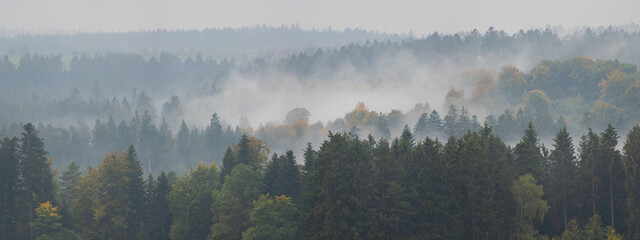 Amazing mystical rising fog forest autumnal trees and firs landscape in black forest ( Schwarzwald ) Germany panorama banner - Dark autumn mood