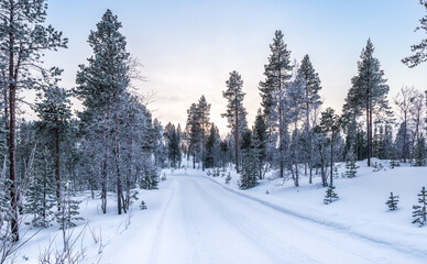 Winter landscape with snowy road between the trees. Finland, Scandinavia.