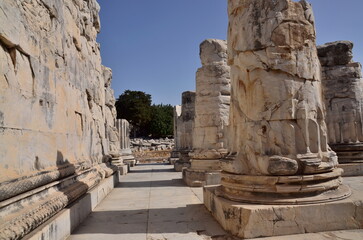 ancient temple in archaeological site