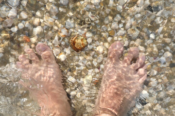 barefoot man with his feet in the sea water above the shells
