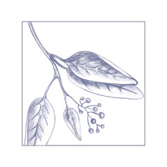 Colorful abstract floral element tile of flower segment in square. Vector illustration