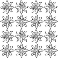 Hand drawn anise seamless pattern background. Spices in doodle and line art style. Isolated vector illustration.