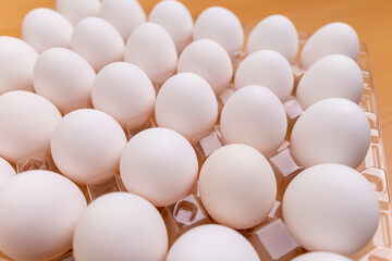 Pack of the white chicken egg