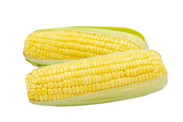 Corn isolated on white background with clipping path