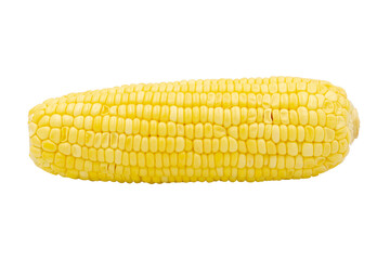 Corn isolated on white background with clipping path
