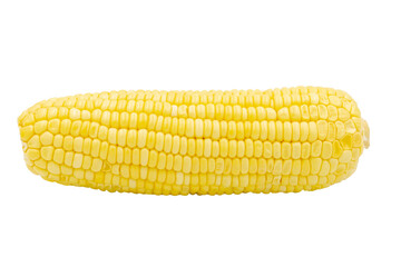 Corn isolated on white background with clipping path